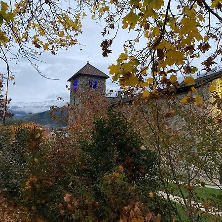 Studio Cosy Vallee De Tarentaise La Plagne Eksteriør bilde