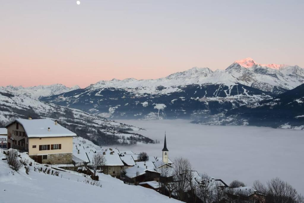 Studio Cosy Vallee De Tarentaise La Plagne Eksteriør bilde