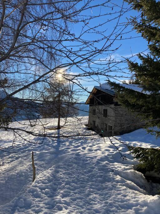 Studio Cosy Vallee De Tarentaise La Plagne Eksteriør bilde